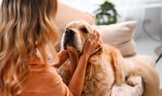 The 5 essential decisions you need to make when taking out a new mortgage